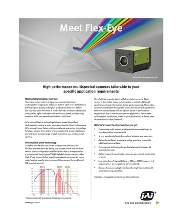 Flex-Eye-flyer