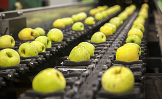 Markets-Food-Beverage-Fruit-Vegetable-Sorting-325x200-pixel Markets-Food-Beverage-Fruit-Vegetable-Sorting-325x200-pixel